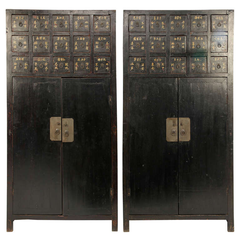 19th Century Medicine Cabinet with 15 Drawers at 1stdibs