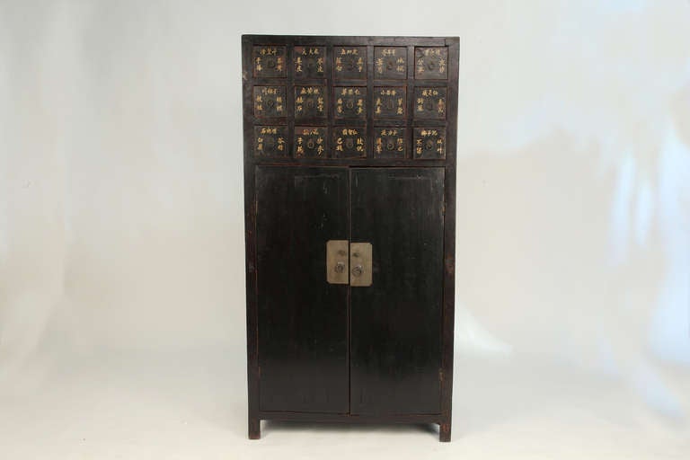 Chinese 19th Century Medicine Cabinet with 15 Drawers