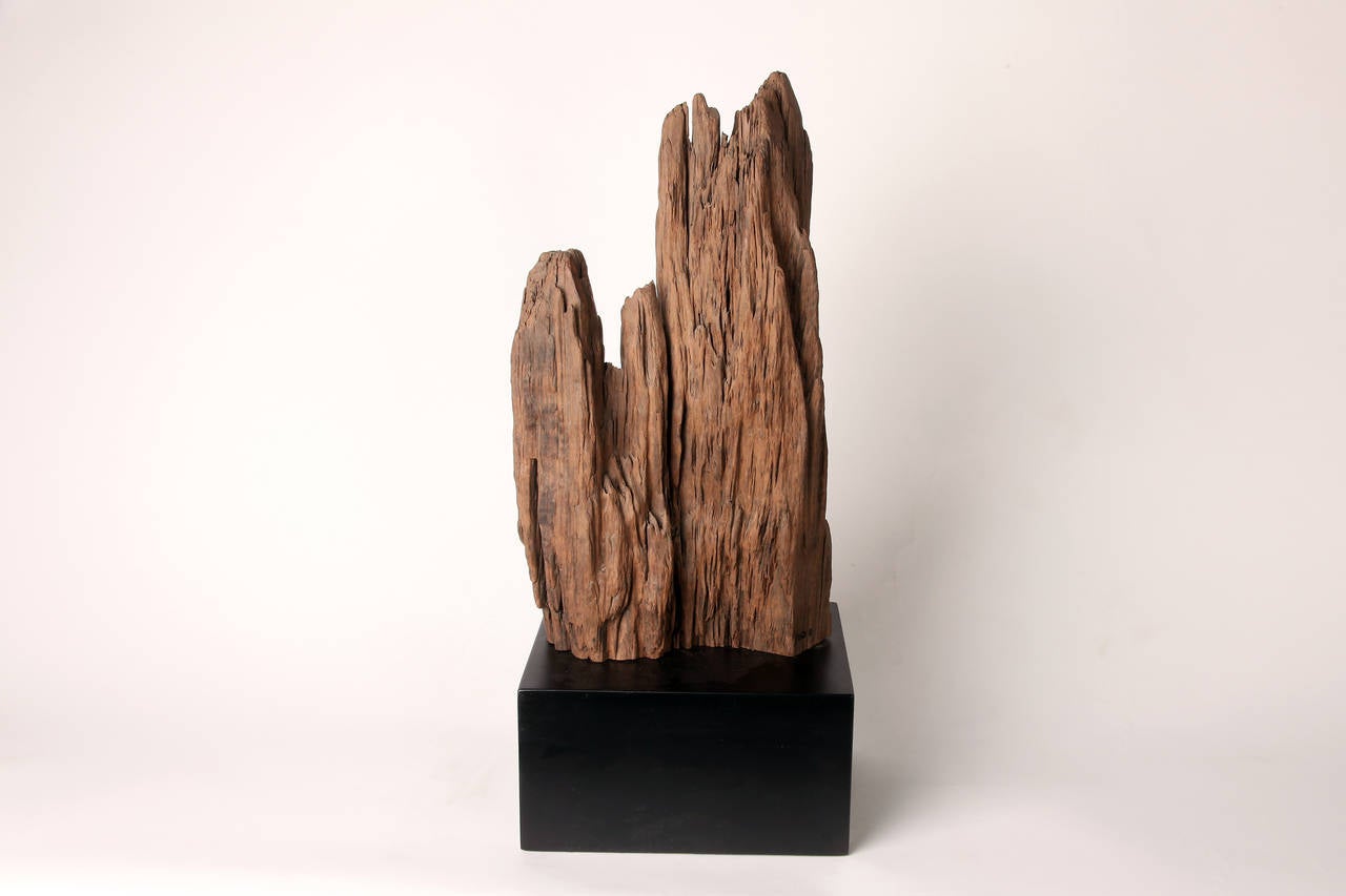 This old large solid piece of Elm Wood is preserved in its natural form and mounted to a base. Inspired by scholar's rocks, this eroded piece of wood is intended for contemplation.  Made from a wide range of materials; traditionally they are