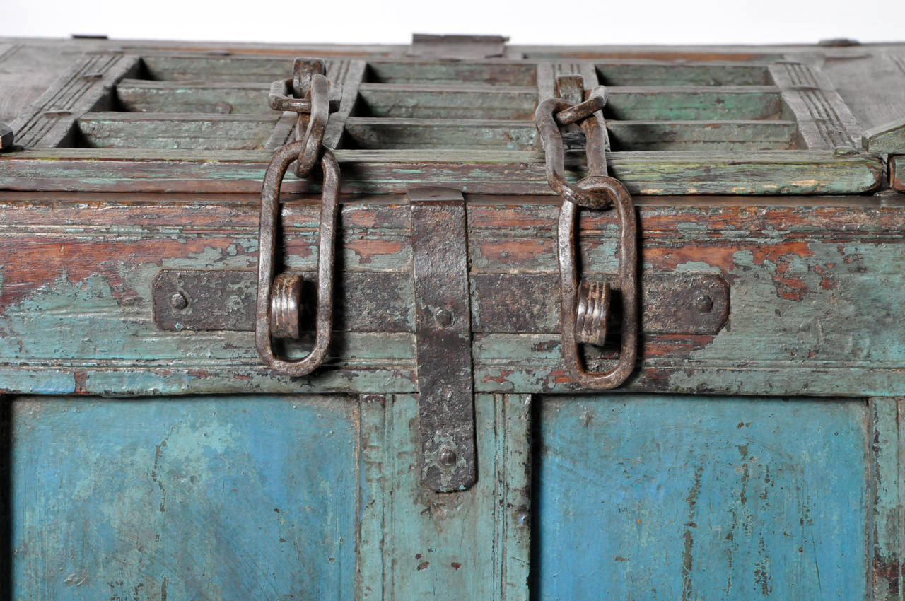 Painted Magnificent Cerulean Trunk