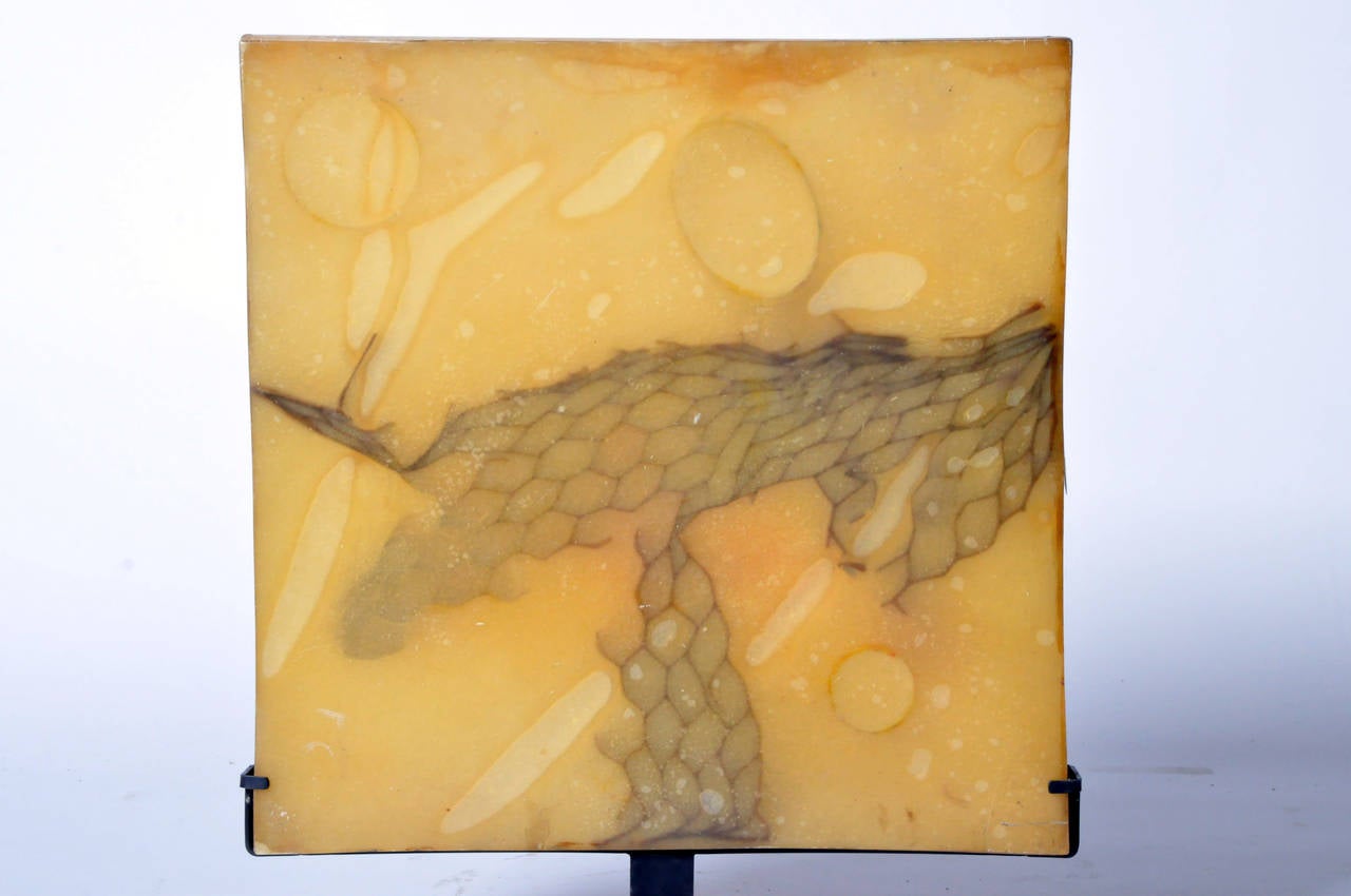 This mixed-media work captures movement, which is conveyed through the detailed texture of bubbles and patterns frozen in the resin. The dark, heavy honeycomb-patterned material is offset by the light yellow translucence of the rest of the piece. It