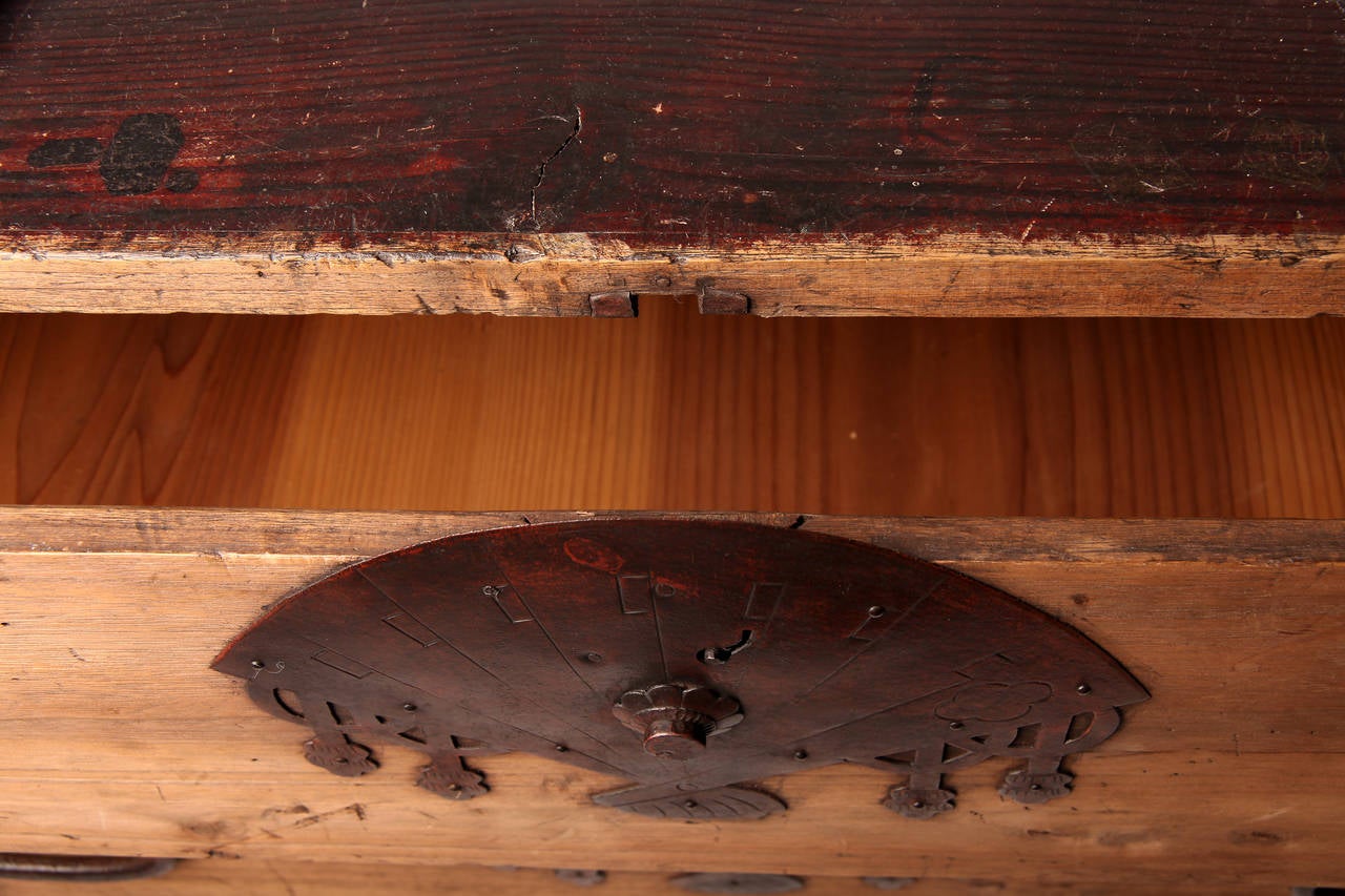 Pair of 19th Century Tansu Chests with Fan Shaped Hardware 2