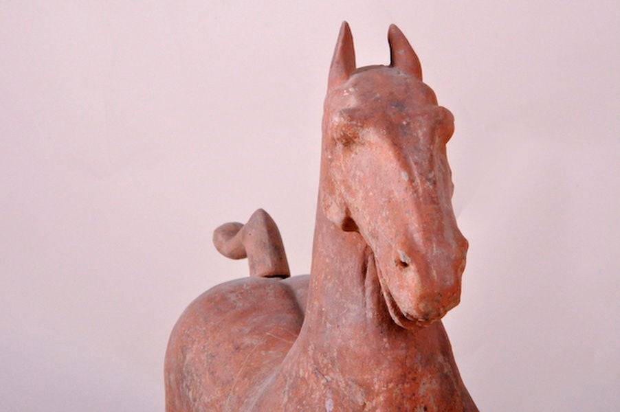 Han Dynasty terra cotta horse 5