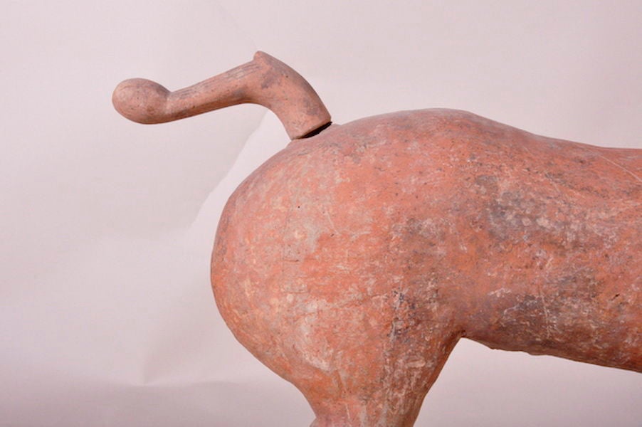 Terracotta Han Dynasty terra cotta horse