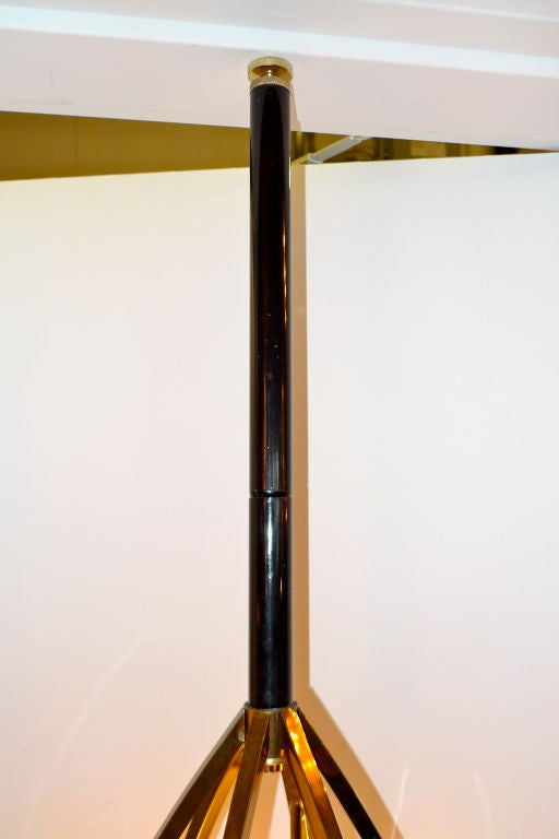 Unusual Tension Pole Floor Lamp with Brass Bird Cage Enclosure 1