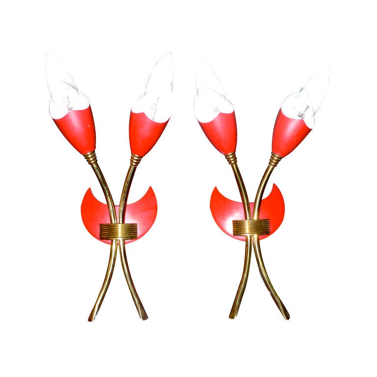 Pair of G.C.M.E Mod.351 Tulip Form Italian Sconces For Sale