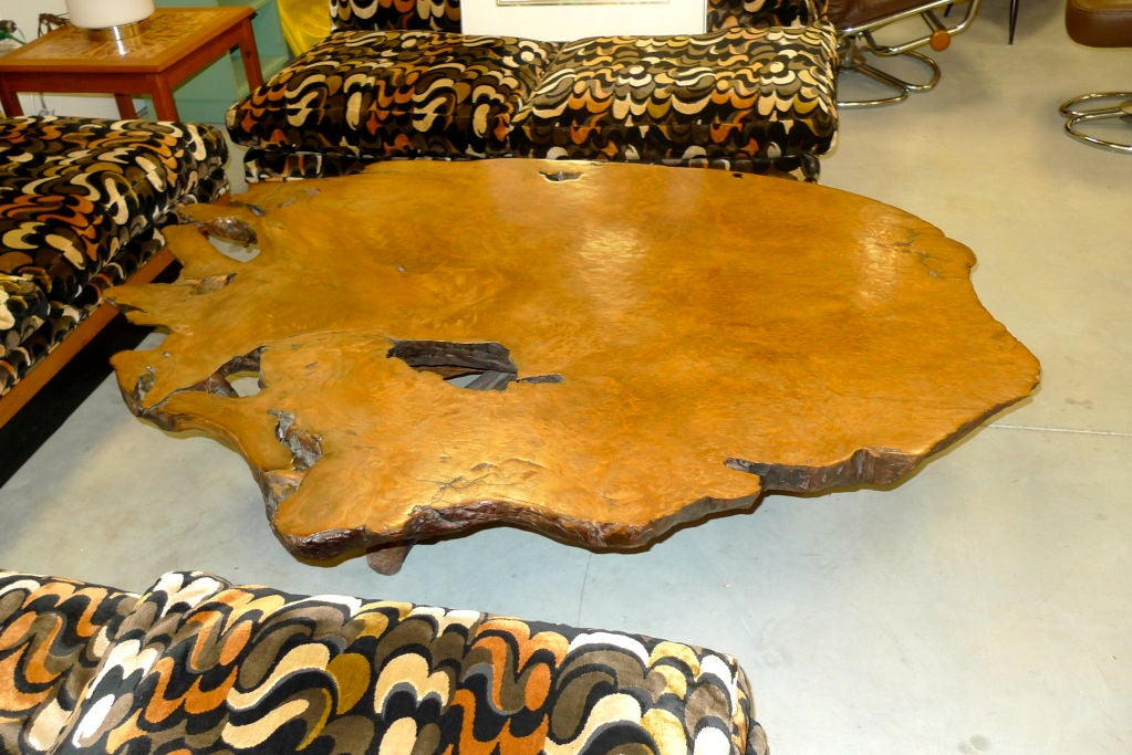 Massive redwood burl root cocktail table from California circa 1950's.  Live edge.  Naturalist modern.