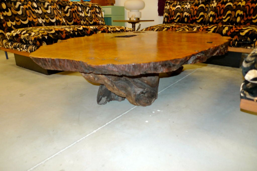 Mid-Century Modern Massive Redwood Burl Root Table