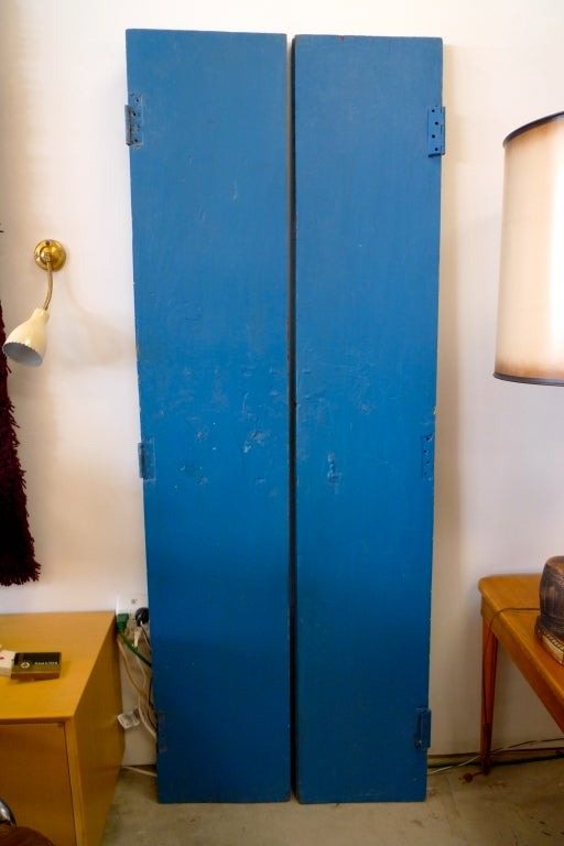 Pair of 19th C Painted Doors from India 4