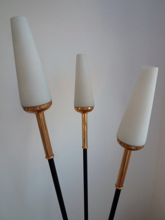 spear lamp