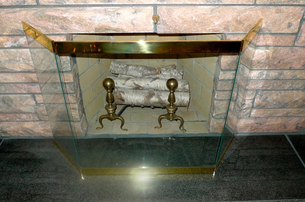 Glass & Brass Fireplace Screen 2