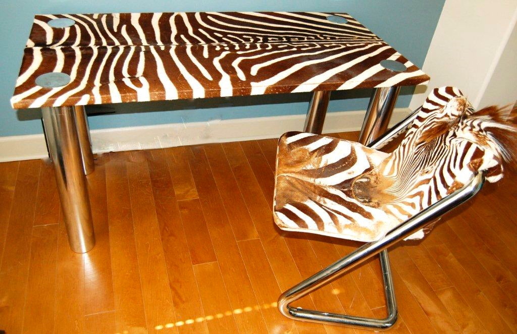 Anatomically correct (!) wild zebra hide covered chair and flat top desk / writing table. Cylinder legs of desk have four chrome disk caps on each corner of the desk surface. The chair frame is heavy tubular chromed steel. Seat of chair and