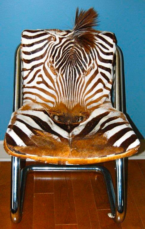 zebra desk chairs