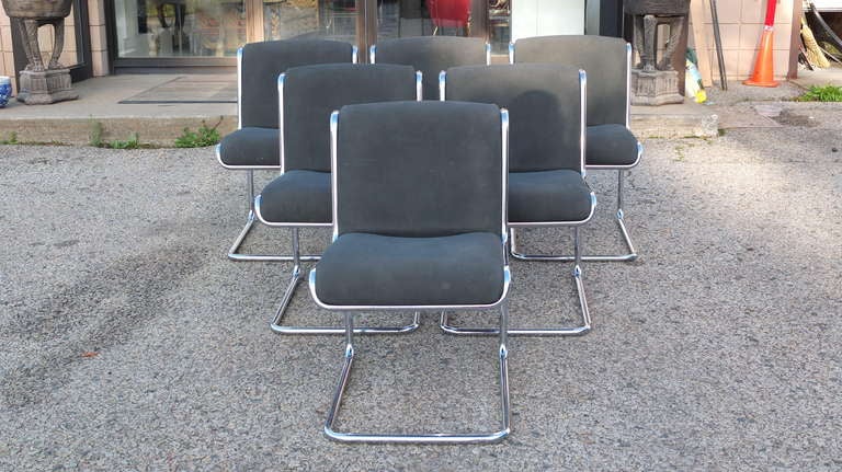 Bauhaus 6 Thonet Dining Chairs Reverse Cantilevered Tubular Chrome 