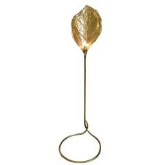 Tommaso Barbi Brass Leaf Floor Lamp
