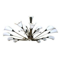 Monumental French 1950s Eighteen-Arm Chandelier with Opaline Calla Lily Shades