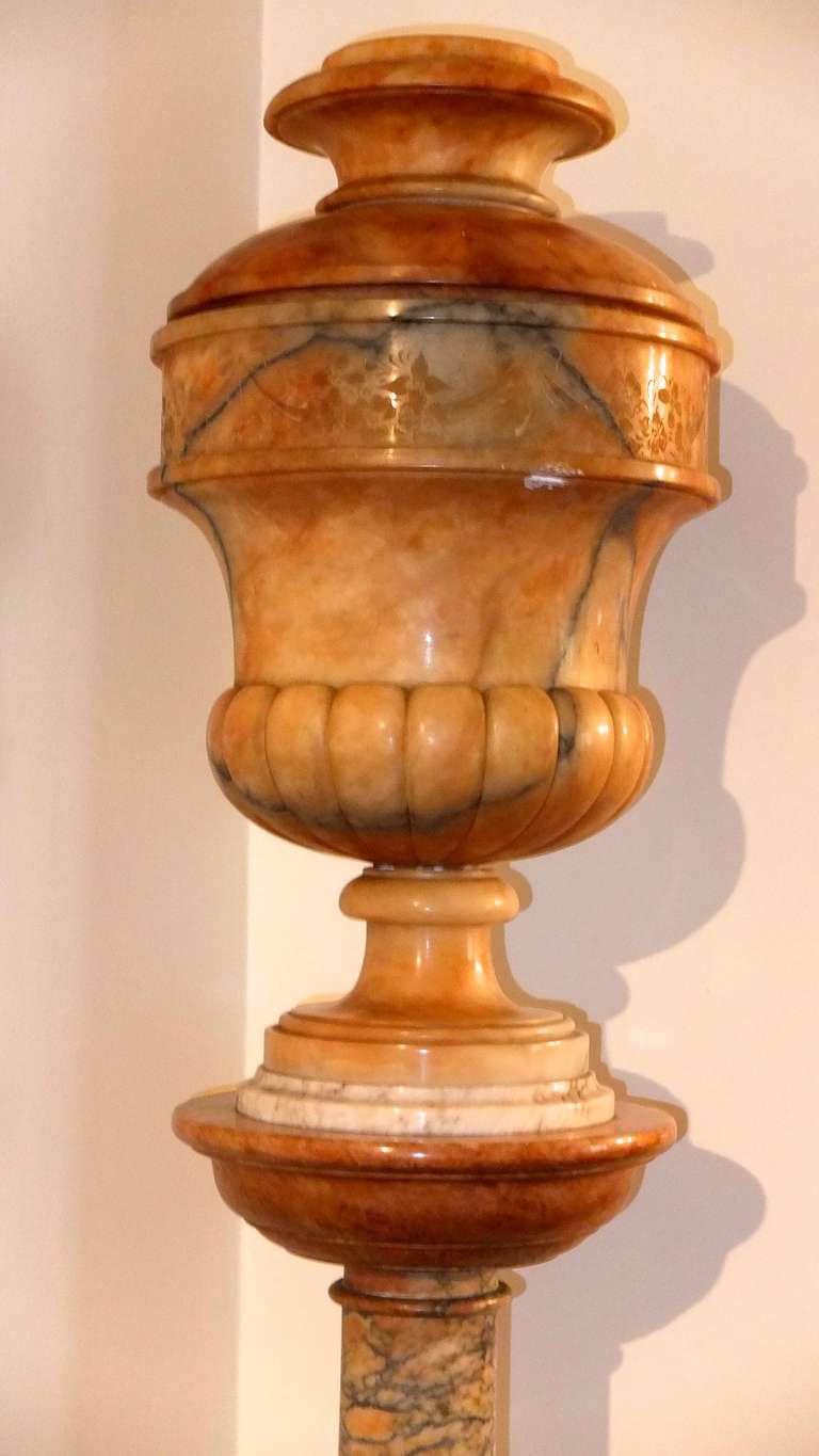 Pair of Italian Alabaster & Marble Urn Lamps 2