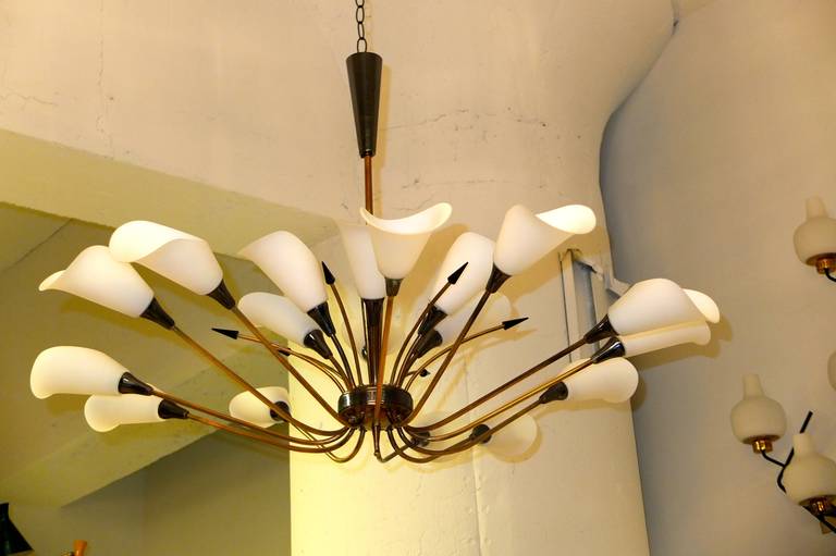 Brass Monumental French 1950s Eighteen-Arm Chandelier with Opaline Calla Lily Shades