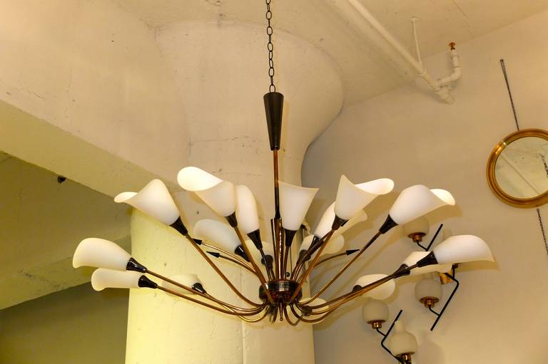 Monumental French 1950s Eighteen-Arm Chandelier with Opaline Calla Lily Shades 1