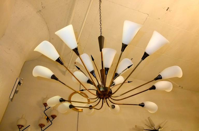 Monumental French 1950s Eighteen-Arm Chandelier with Opaline Calla Lily Shades 2