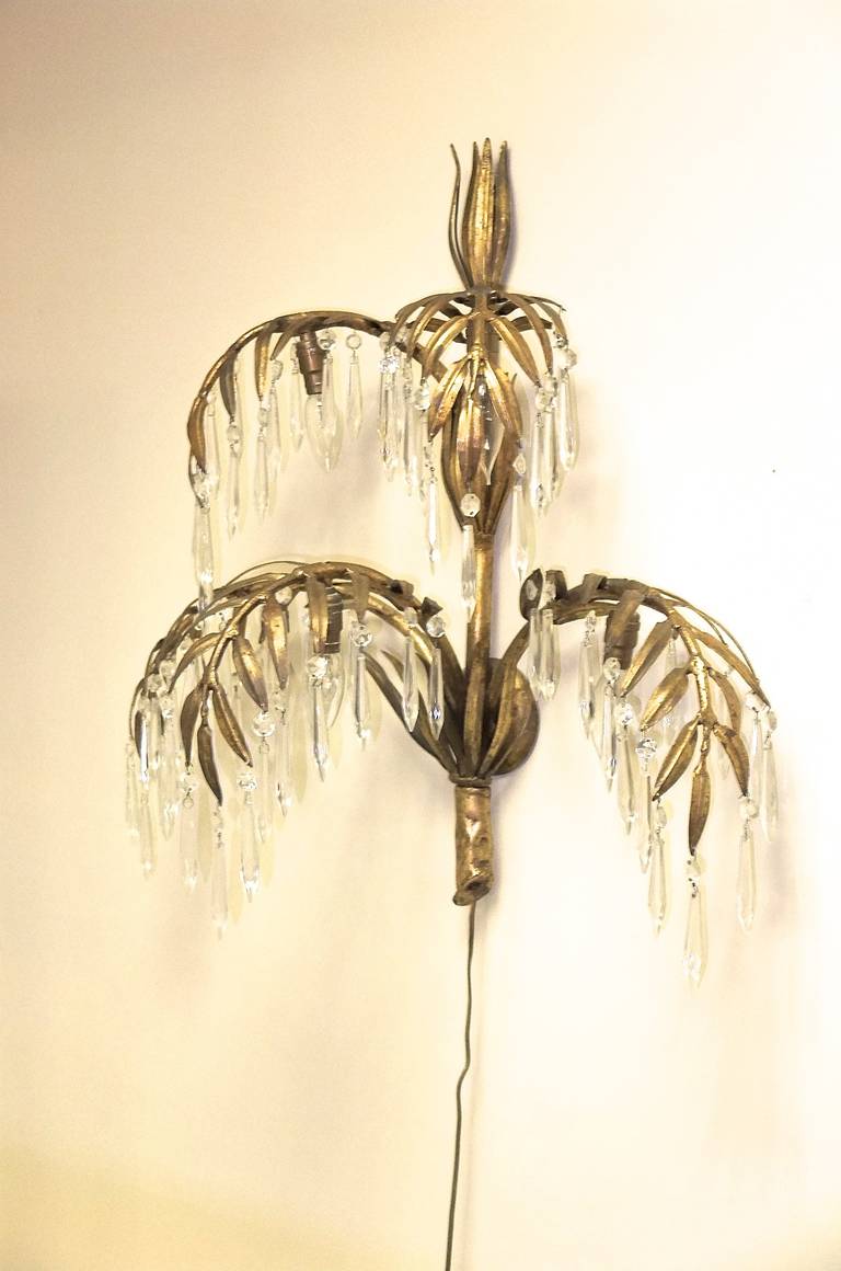 Pair of 1950s Italian Palma d'Oro Wall Sconces 1