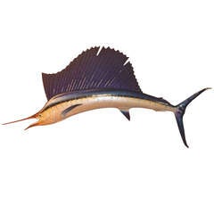 Vintage Wall Mounted Trophy Marlin