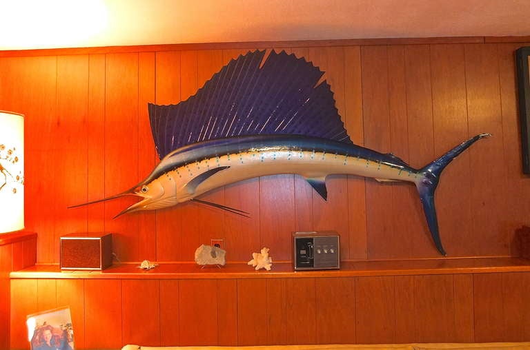 Authentic skin-mounted taxidermy blue sail fish. Vintage 1971. Comes with original certificate from taxidermist Montedurs de Peces Lomeli S. DE R. L., Acapulco. 

According to the certificate the fish was 8 feet and weighed 95 pounds.

H 52