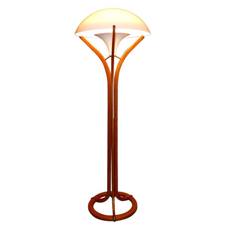 Scandinavian Teak Floor Lamp with Domed Reflector at 1stDibs