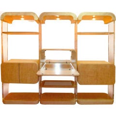 1970's Mod Lucite Wall Unit or Room Divider