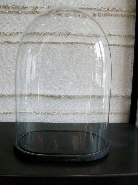 19th c. Double Glazed Glass Display Domes 1