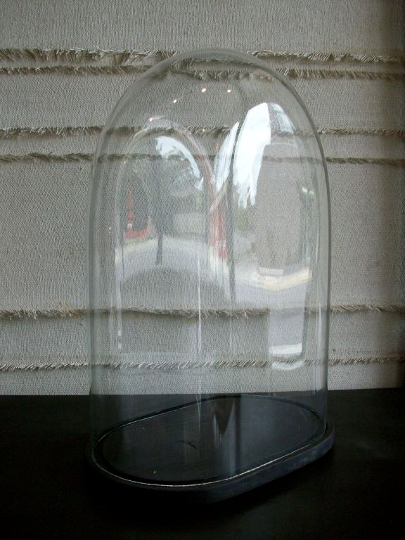 19th c. Double Glazed Glass Display Domes 2