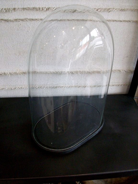 19th c. Double Glazed Glass Display Domes 3