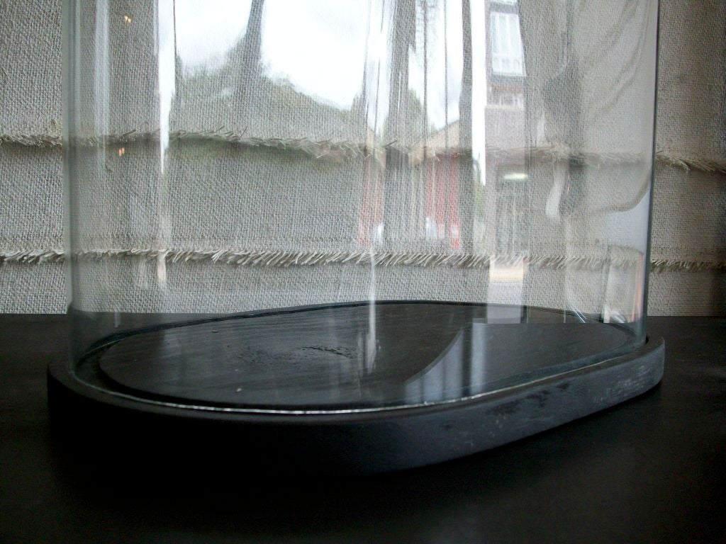 19th c. Double Glazed Glass Display Domes 4