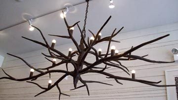 tree branch chandelier