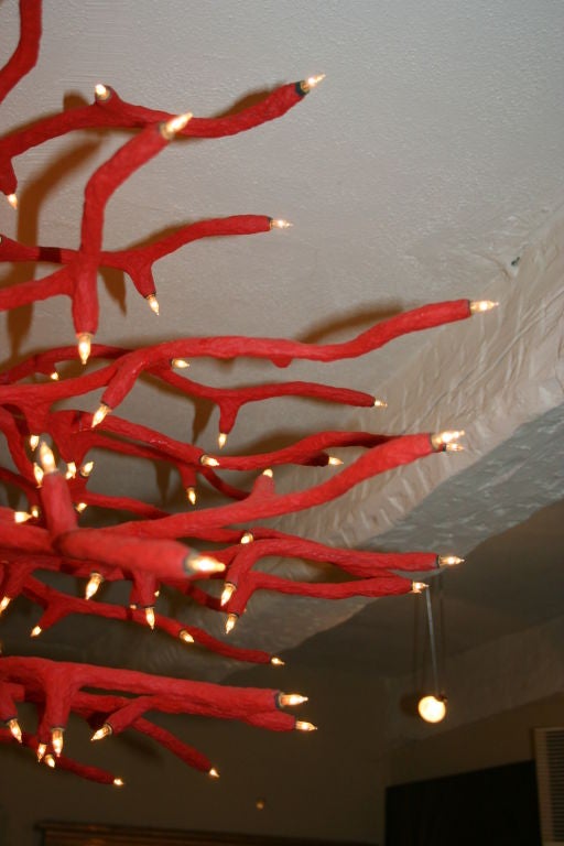 Amazing Organic Coral Chandelier 2