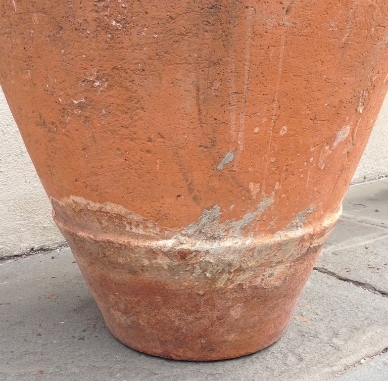 Wonderful 18th century Spanish Jars found in Jamaican Estate In Excellent Condition In Charleston, SC