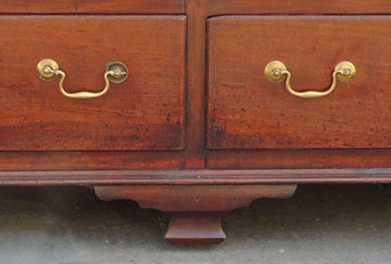 Early 19th Century English Mule Chest 2