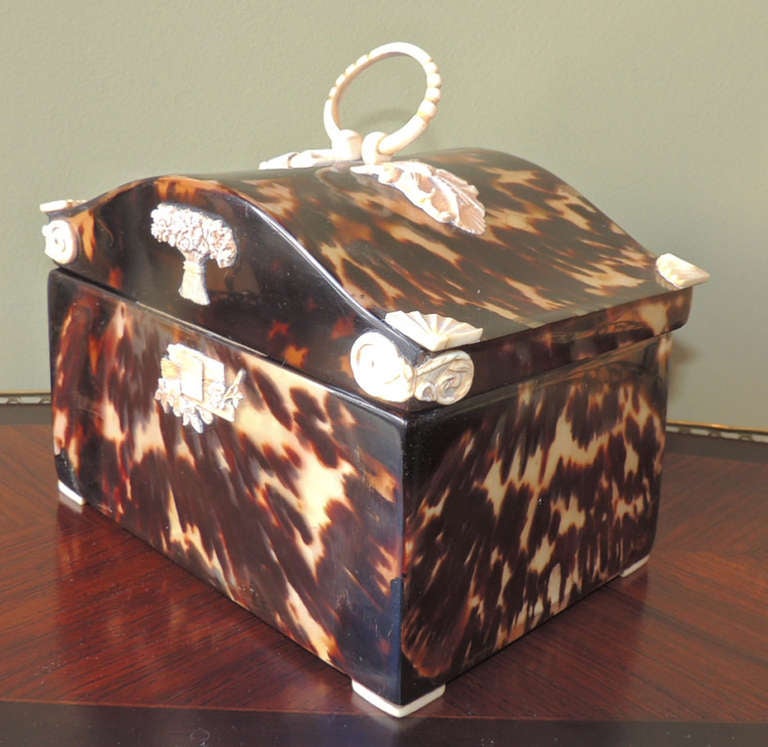 Tortoise Shell Jewelry Box with Ivory Detailing 2
