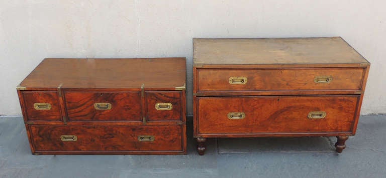 Early 19th C English Walnut Campaign Chest by Robbs and Co. 5
