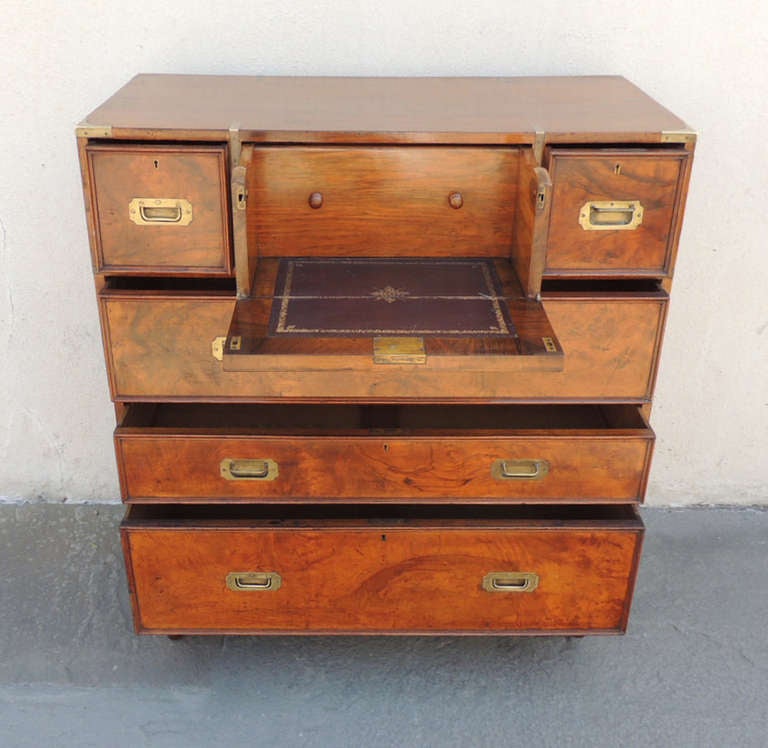 Early 19th C English Walnut Campaign Chest by Robbs and Co. In Excellent Condition In Charleston, SC