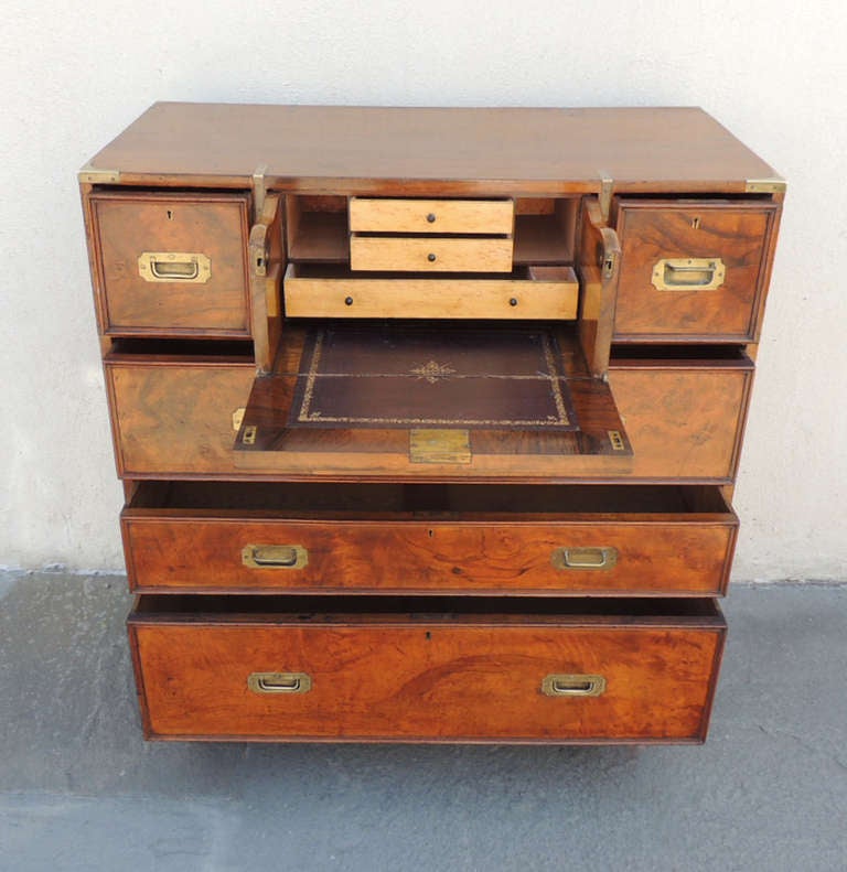 19th Century Early 19th C English Walnut Campaign Chest by Robbs and Co.