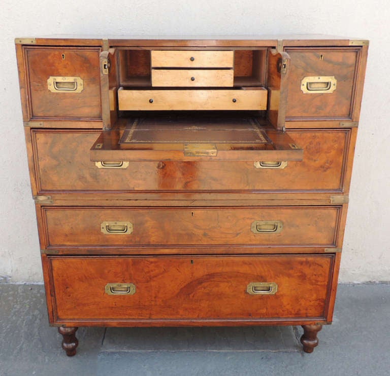 Brass Early 19th C English Walnut Campaign Chest by Robbs and Co.