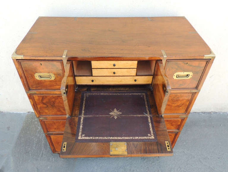 Early 19th C English Walnut Campaign Chest by Robbs and Co. 1