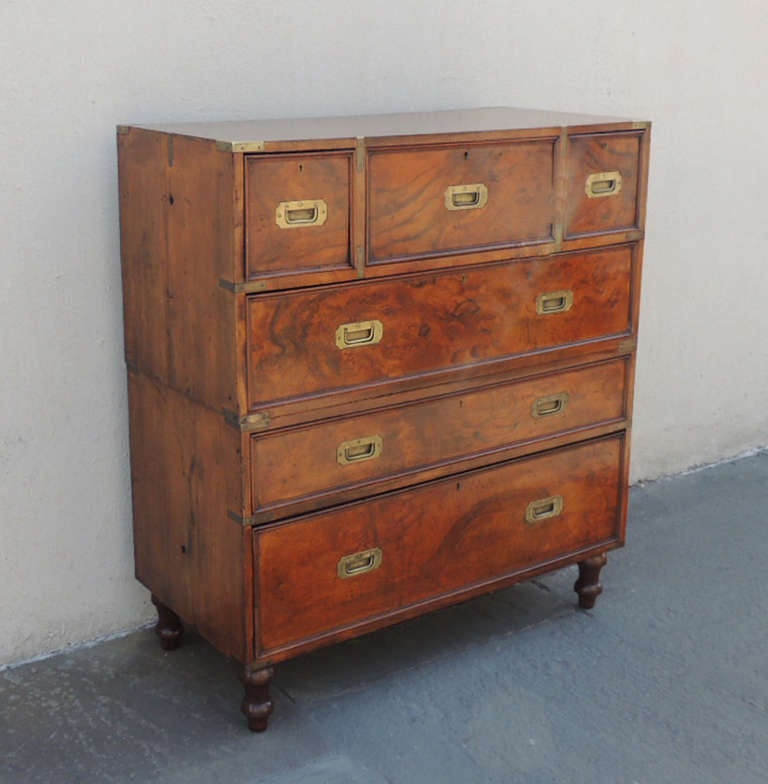Early 19th C English Walnut Campaign Chest by Robbs and Co. 2