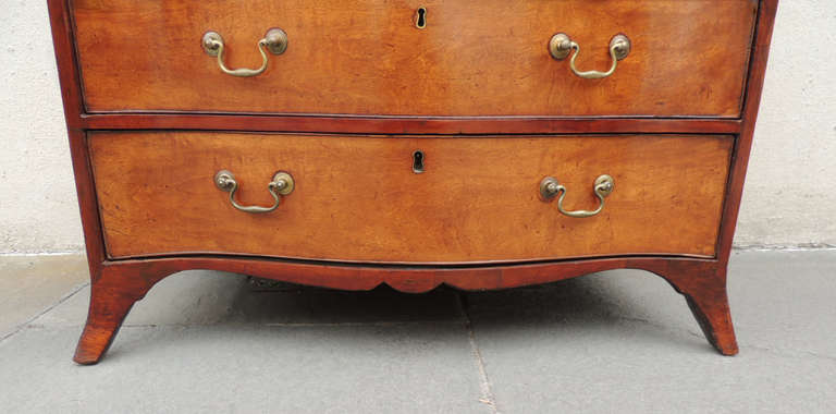 Late 18th C English Serpentine Sheraton Mahagony Chest 3