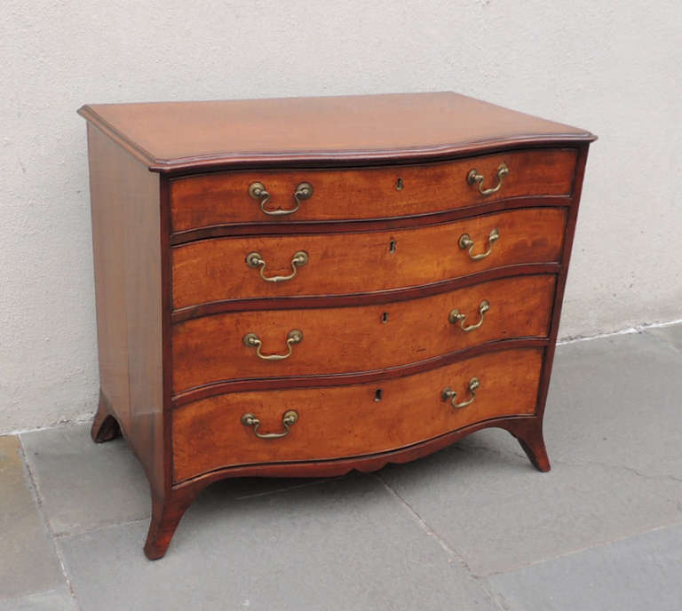 Late 18th C English Serpentine Sheraton Mahagony Chest In Excellent Condition In Charleston, SC