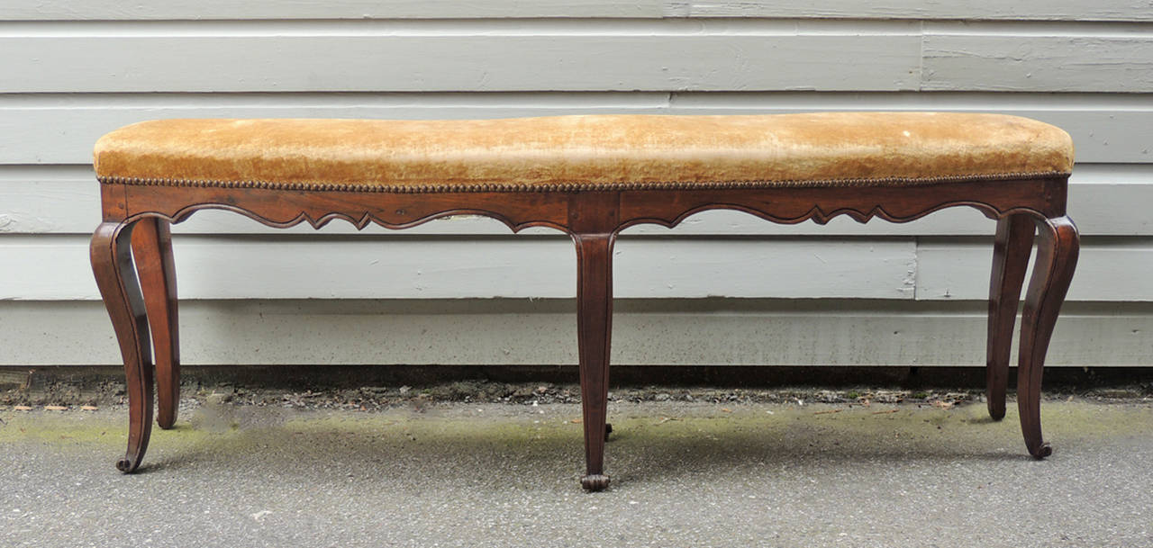 This pair of curved walnut benches was made in Italy. One is the original dating back to the end of the 18th century. The other is a exact copy that was made in Italy in the mid-19th century. This pair features velvet seat covers with exposed brass