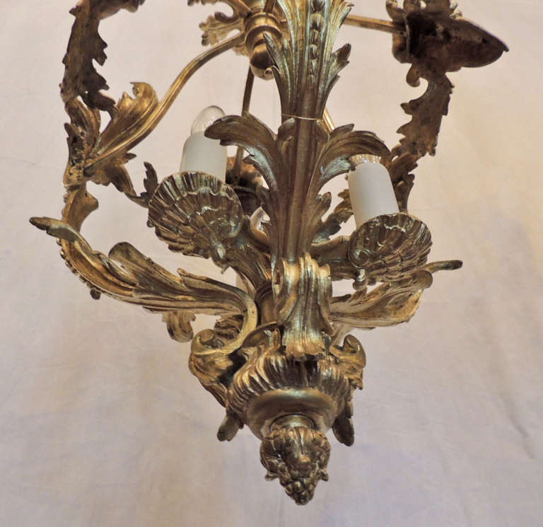 Rococo Pair of Early 20th C French Bronze Chandeliers