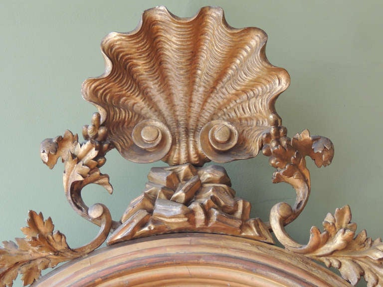 19th Century English 1820s Shell Motif Convex Mirror