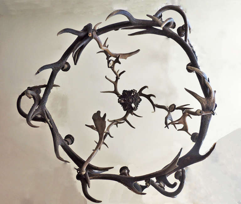 Early 19th Century Scottish Horn Chandelier 6